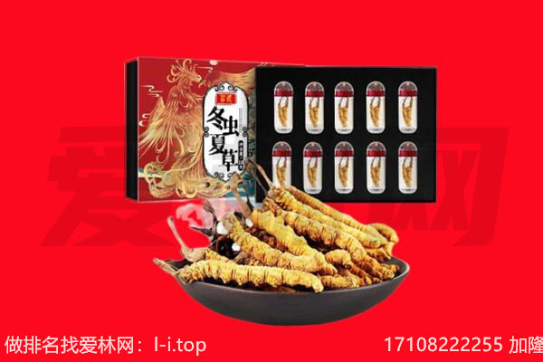 商洛市镇安回收虫草.jpg